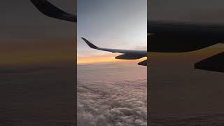 View from the Ethiopian Airlines skyairlinesEthiopiaviralvideosshortsclouds [upl. by Naujtna]