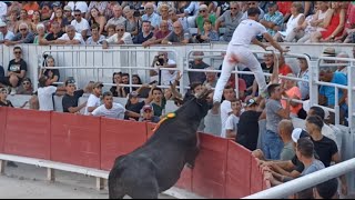 Cocarde dor 2022 à Arles  Course camarguaise  AS [upl. by Aicenat]