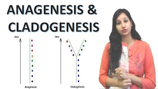 Anagenesis and Cladogenesis I Speciation I Evolution I Lamarckism and Darwinism [upl. by Voss]