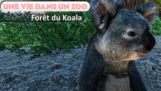 Terrain Océanique pour Koalas  EPISODE 50  PLANET ZOO  Franchise [upl. by Audris892]