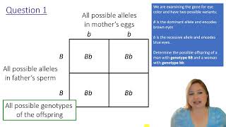 How to use a Punnett Square with genetics practice questions [upl. by Margaux]