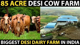 85 ACRE DESI COW FARM Biggest Desi High tech Dairy Farm in India  Mr Milk [upl. by Nikolai]