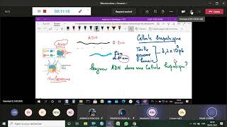 TD 1 BIOLOGIE MOLECULAIRE [upl. by Wendelin]