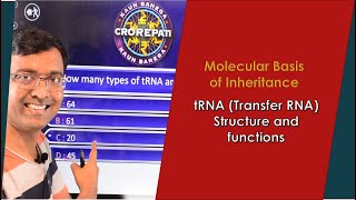 tRNA Structure and functions I NEET I Dr Kunal Tatte KT [upl. by Akedijn]