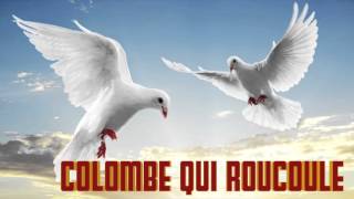 Colombe qui Roucoule le Cri de la colombe chant chante [upl. by Roger]