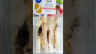 Sandwich Left In Packaging Time Lapse [upl. by Renell]