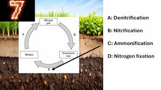 ALevel Biology 10 second quiz episode 3 [upl. by Ytirahc]