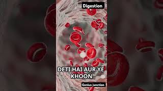 Digestion stomach facts ytshort biology enzyme [upl. by Nnalatsyrc]