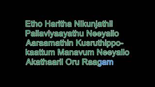 shyama meghame nee karaoke [upl. by Valoniah]