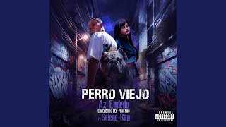 Perro Viejo [upl. by Eenalem]