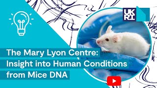 The Mary Lyon Centre MRC Harwell  Gaining Insight into Human Conditions from Mice DNA [upl. by Maryrose]