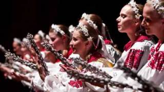 Kopala studienku Slovak folk song  base of Slovak anthem [upl. by Lenox]