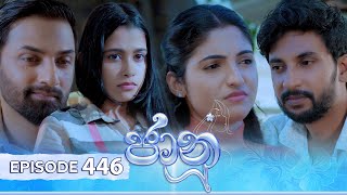 Jaanu  Episode 446  20241108  ITN [upl. by Onibag]