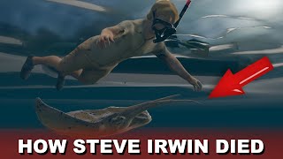 Steve Irwin Death Video Footage Recreation [upl. by Katt690]