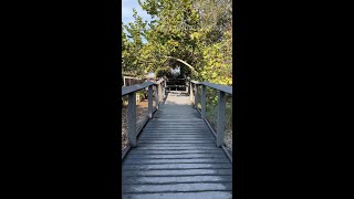 Step Back in Time at the Tindall Pioneer Homestead [upl. by Hankins]