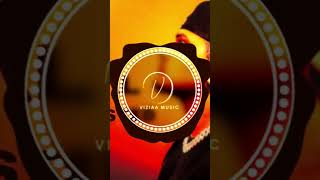 Dhanda Nyoliwala  Illegal Remix  BASS BOOSTED  VIZIAA MUSIC shorts remix [upl. by Livia]