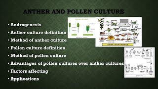 Anther and pollen culture  Androgenesis  Plant tissue culture  AZ Concepts guide [upl. by Nodal]