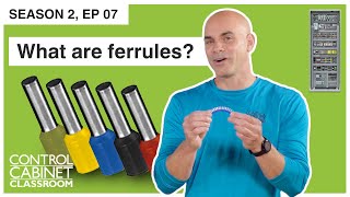 What are ferrules [upl. by Alenoel61]