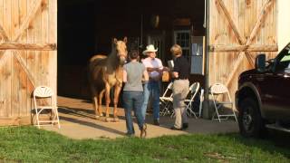 Countryside Vet Service Practice Overview Video [upl. by Kahl]