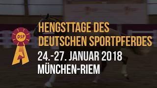 DSPHengsttage  Körung amp Auktion  wwwdeutschessportpferdde [upl. by Ezekiel]