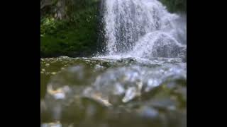 Cooper Canyon Falls  wTrout 🌈🐟 [upl. by Pronty917]