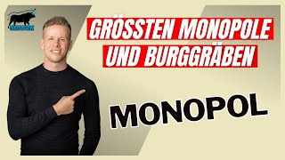 DIESE 4 Aktien haben Monopolstellungen mit bis zu 71 Marktanteil  Investflow Aktienanalyse [upl. by Enalda]