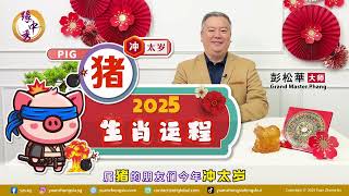 2025 Pig Zodiac Forecast 生肖属猪运程 by Grand Master Hillary Phang [upl. by Nolrah]