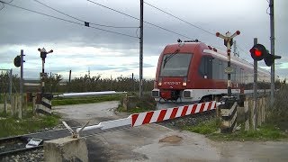 Spoorwegovergang Adelfia I  Railroad crossing  Passaggio a livello [upl. by Nytsud614]