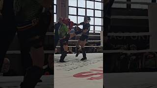 Brutal Front kick 💪😜nr1 best muaythai boxing kickboxing [upl. by Caterina]