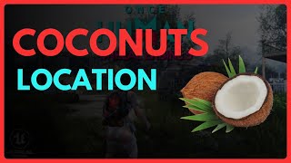 Easy Coconuts Location in Once Human  Full Guide 2024 [upl. by Arv]