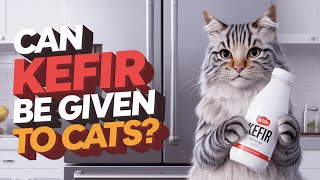 Can kefir be given to cats How useful is it how to give it correctly from what age [upl. by Eislehc]