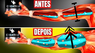 Seu corpo SEM Creatina vs COM Creatina Efeitos de Tomar Creatina  Suplemento  CORPO HIPERTROFIADO [upl. by Hobard561]