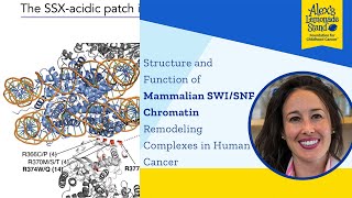 Structure and Function of Mammalian SWISNF Chromatin Remodeling Complexes in Human Cancer [upl. by Derdlim]