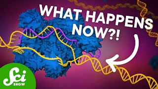 The First CRISPR Gene Therapy Is Here [upl. by Ecineg]