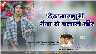 Naina Se Chalale Tir Theth Nagpuri DJ songs 2024  DJ Kush Upar Semra [upl. by Nitsed]