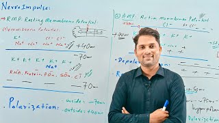 Nerve Impulse Nerve conductionNervous coordination STB NCERT FTB PTBHindi UrduProSuresh Kumar [upl. by Aileduab]