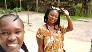 THE BEST PLACE IN DIANI KENYA you have to watch this [upl. by Akeenahs606]