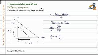 Proporcionalidad geométrica Polígonos semejantes [upl. by Tteve]