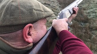 Pheasant and Duck Shooting 22nd January 2019 [upl. by Britton529]