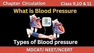 Explanation of Blood pressure for MBBS amp MDCAT students What is systolic amp diastolic Blood pressure [upl. by Akino894]