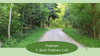 Psalmen Teil 1  Psalmen 1 bis 41 [upl. by Aneger]