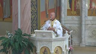 Seventh Sunday of Matthew  Orthros amp Divine Liturgy 81124 NOTE Streaming Ends After Sermon [upl. by Laehcim]