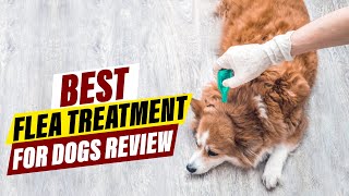 Best Flea Treatment for Dogs in 2024 A Comprehensive Review [upl. by Odraode]