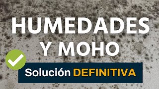 ✅ Cómo eliminar HUMEDADES y quitar moho de paredes y techos Muy FÁCIL 💪 Solución EFICAZ tutorial [upl. by Otrebmal]