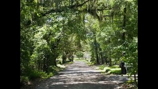 Tour Coastal Living of Pawleys Island South Carolina [upl. by Marylynne]