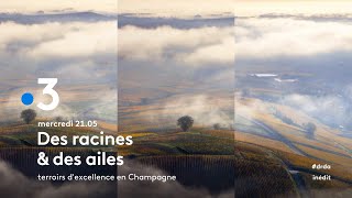 Terroirs dexcellence en Champagne  Bandeannonce [upl. by Noble]