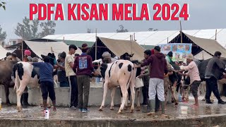 Pdfa mela Jagraon 2024 किसान भाई लेकर पहुँचे अपने पशु [upl. by Uta]