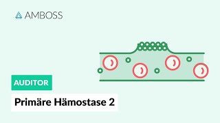 Primäre Hämostase  Teil 2  Physiologie und Medikamente  AMBOSS Auditor [upl. by Yltnerb]