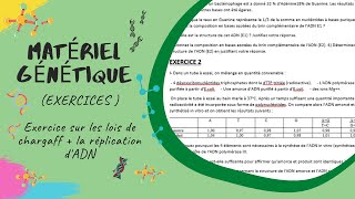 Matériel Génétique EXERCICES  les lois de chargaff  la réplication de lADN L2 SNV Génétique [upl. by Geaghan]