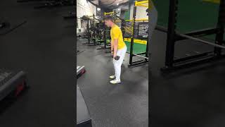 Dumbbell Romanian Deadlift RDL [upl. by Nhguav]